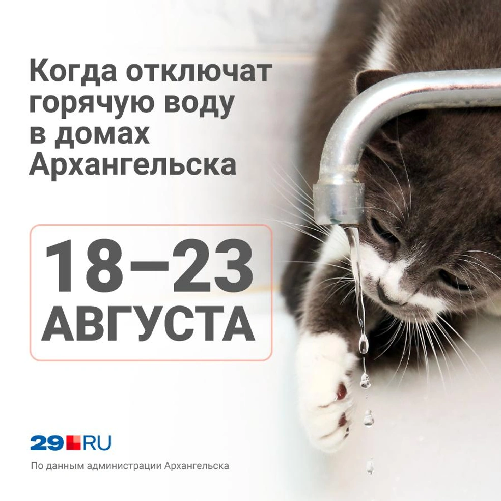 Когда дадут горячую воду на чемском. Когда отключат горячую воду по адресу. Сегодня дадут горячую воду картинки. Когда дадут горячую воду на чемском. Когда дадут горячую воду на чемском.