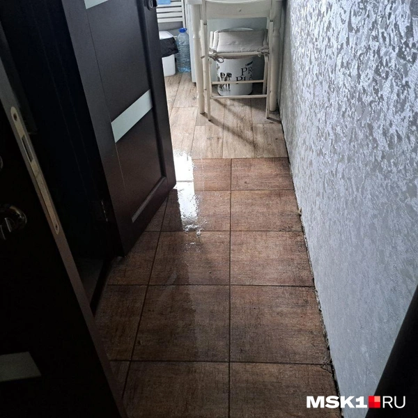 Источник: Арина Майорова / MSK1.RU
