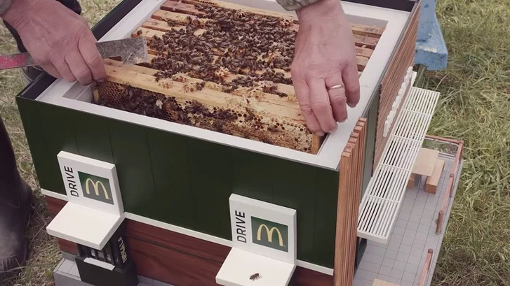 McHive: первый в мире Макдоналдс для пчел (фото 4)