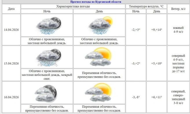 Источник: скрин с сайта Курганского ЦГМС