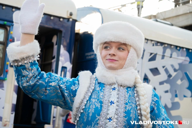 Источник: Елена Буйвол / VLADIVOSTOK1.RU