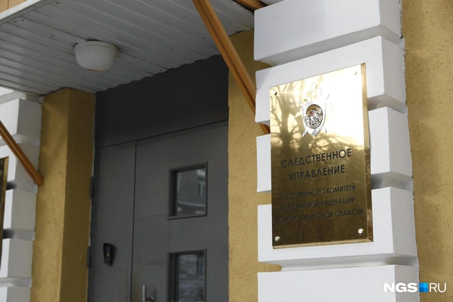 Инцидент произошёл в одном из сёл Доволенского района | Источник: Александр Ощепков / NGS.RU