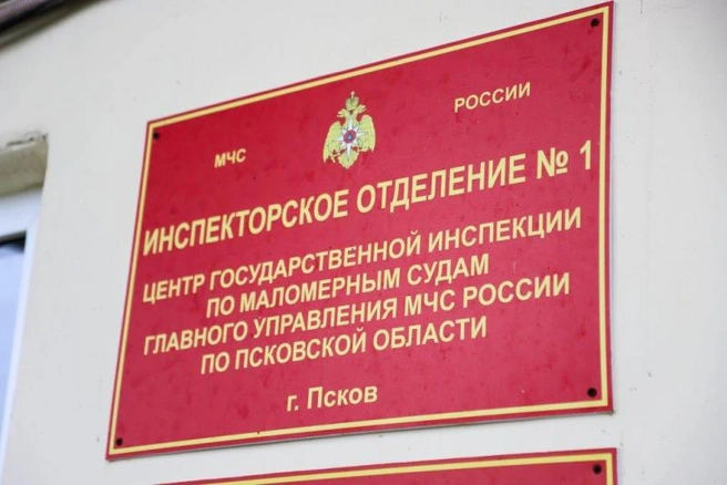 Источник: 60.xn--b1aew.xn--p1ai