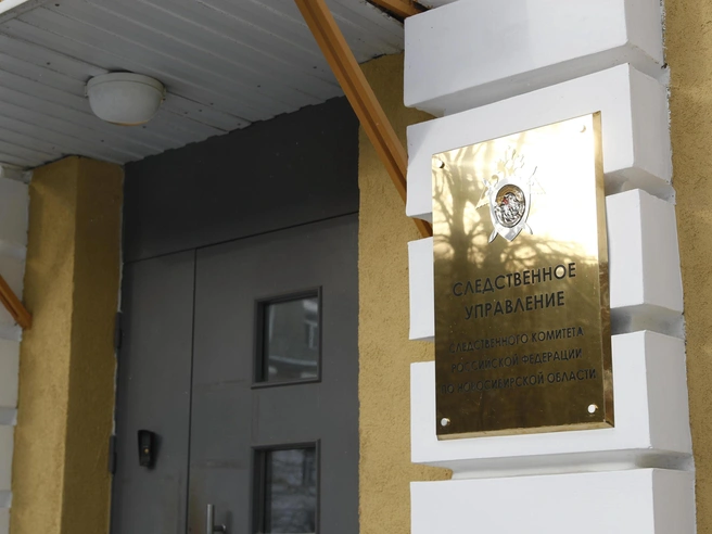 Происшествие случилось в одном из сел Доволенского района. | Источник: Александр Ощепков / NGS.RU