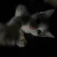 Аватарка алина💓