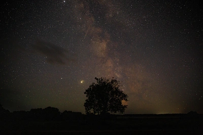 В Воронежской области прозвучали сирены ракетной опасности