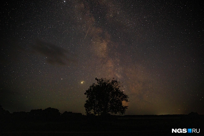 В августе мы уже наблюдали грандиозное зрелище на небе, но повторится ли оно? | Источник: Александр Ощепков / NGS.RU