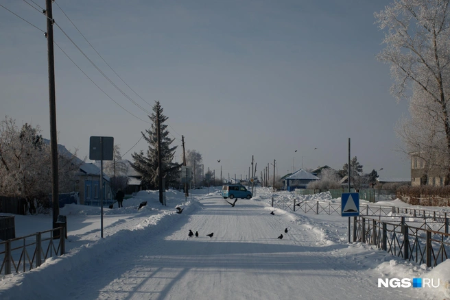 У большинства жителей есть автомобили. На них они ездят в Чаны отдыхать  | Источник: Андрей Бортко / NGS.RU