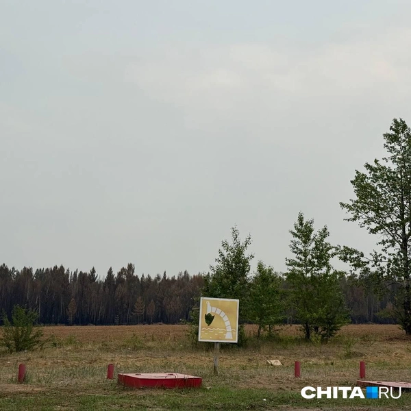 Источник: Екатерина Шайтанова / CHITA.RU