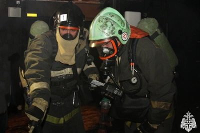 Двое погибли при пожаре в Новосибирской области