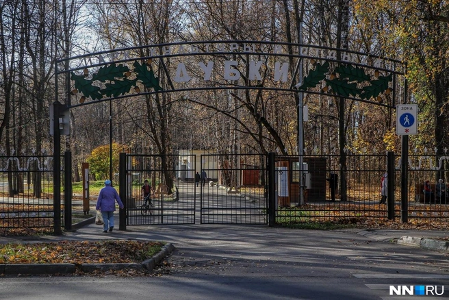 Раньше о парке ходила дурная слава | Источник: Наталья Бурухина / NN.RU