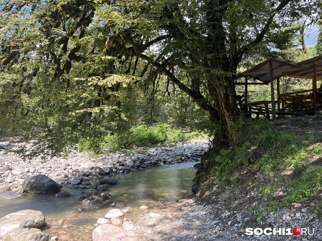 Сидеть в беседке и смотреть на реку | Источник: Анна Грицевич / SOCHI1.RU