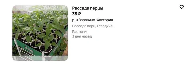 Источник: Avito.ru