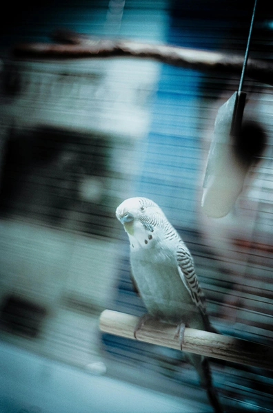 цвет 2025 | Источник: Unsplash 
