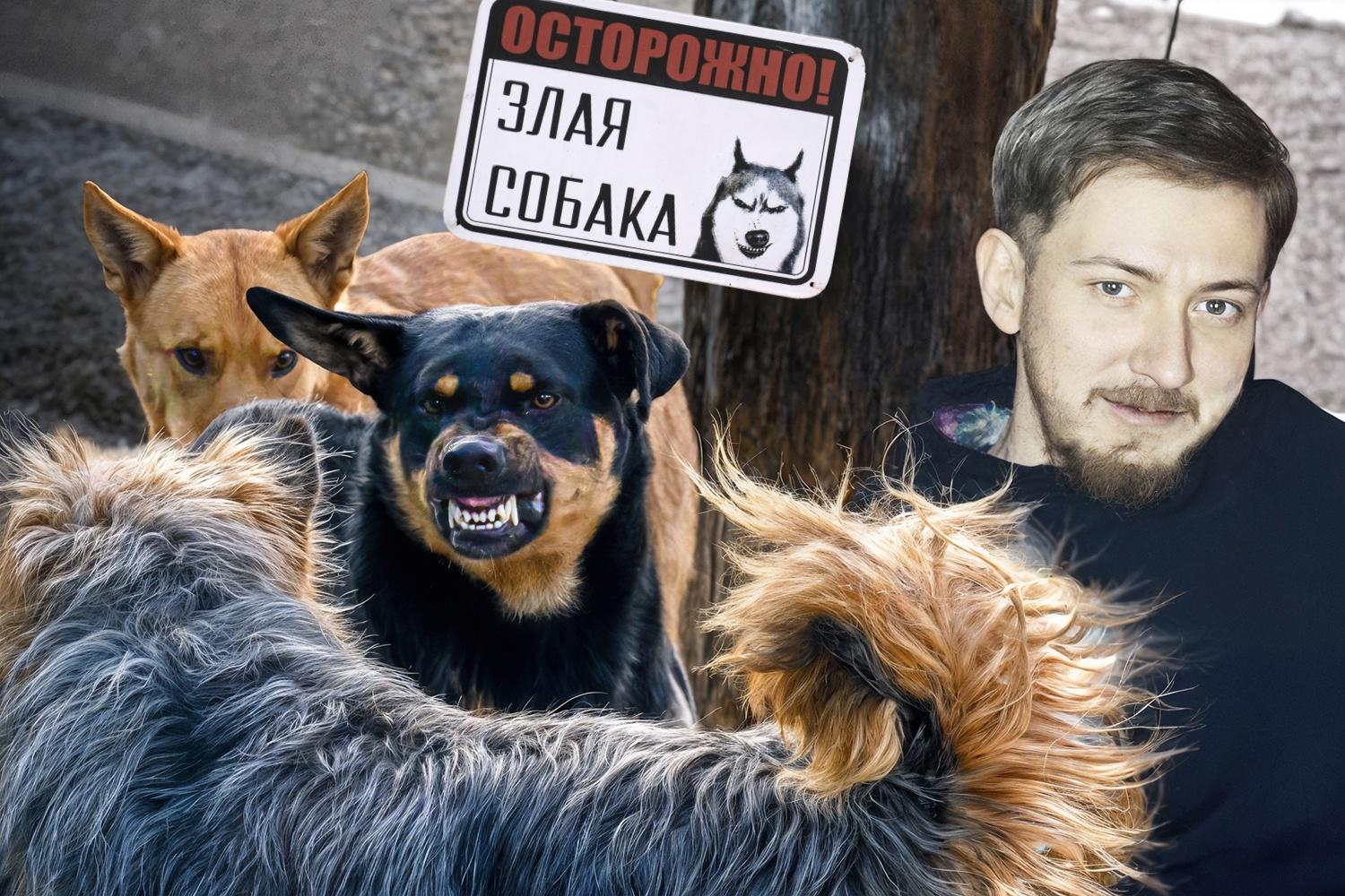 Инвалид из Волгоградской области заявил, что стал жертвой преследования и угроз со стороны группы женщин-зоозащитниц