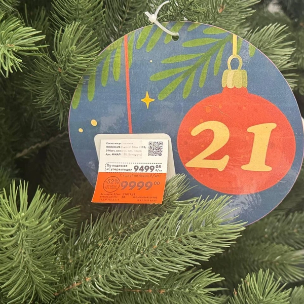 Есть и более дешевые варианты | Источник: Дарья Гранкина / 26.RU