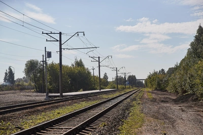 Полиция задержала сбежавшего в Петербург новосибирского школьника