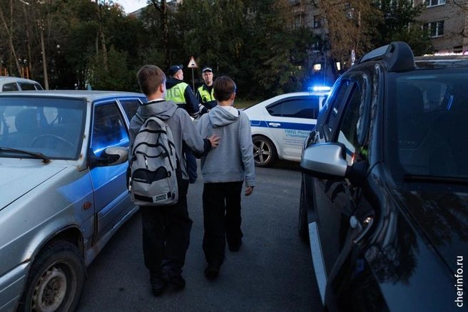 Источник: st.cherinfo.ru