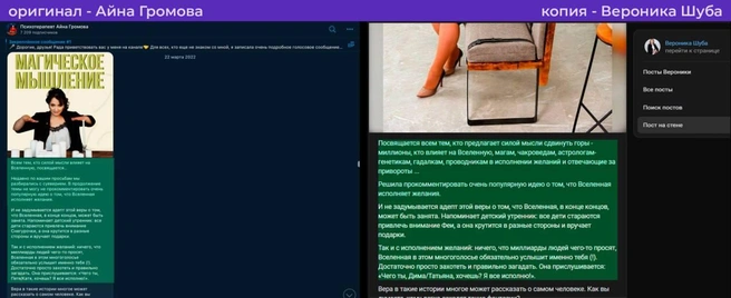 Сравнение постов Громовой Айны и Вероники Ш.  | Источник: Baza Телеграм-канал https://t.me/bazabazon