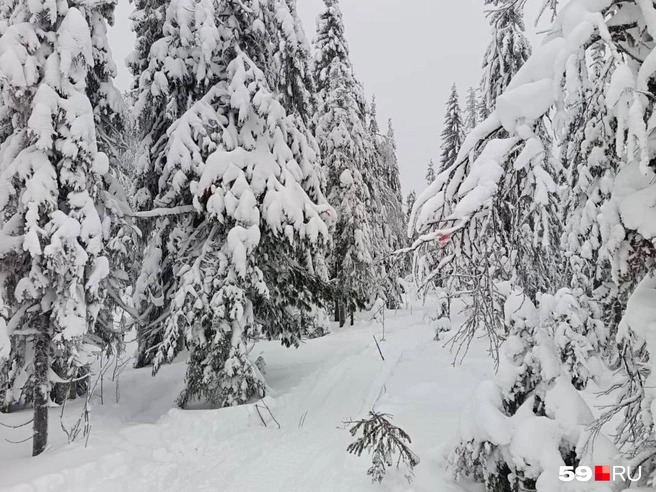 Туристы потерялись на Ослянке | Источник: Елена, знакомая пропавшего