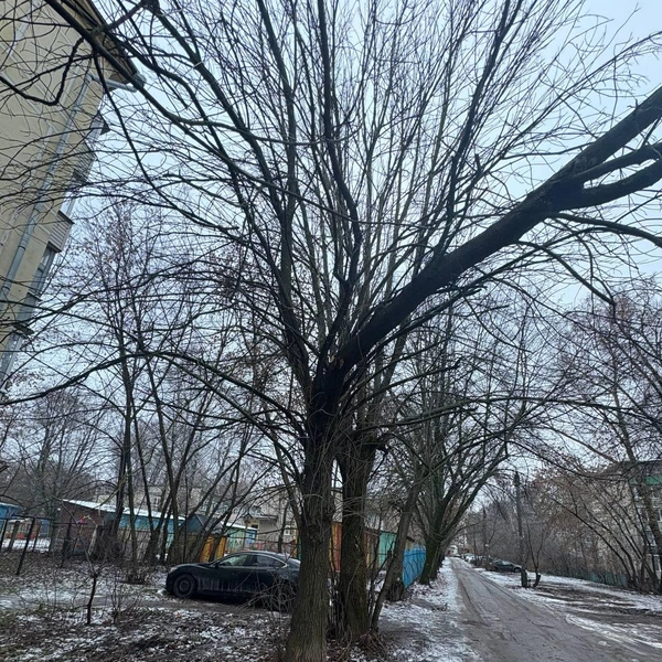 Источник: читатель YA62.RU