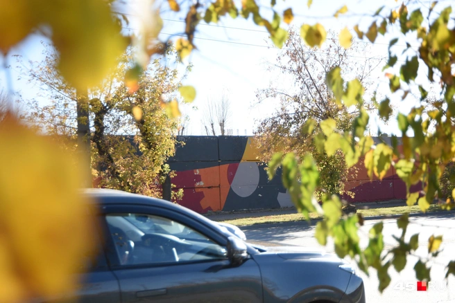 На выходных ожидается потепление | Источник: Надежда Тихомирова / 45.RU