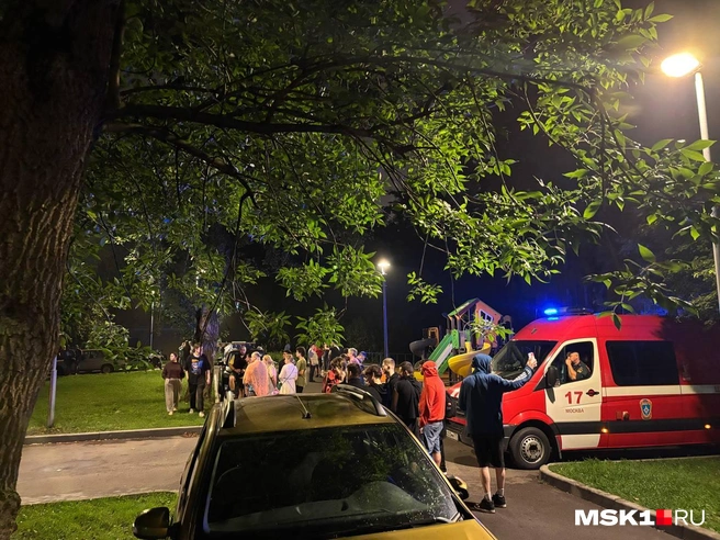 Источник: Диана Храмцова / MSK1.RU