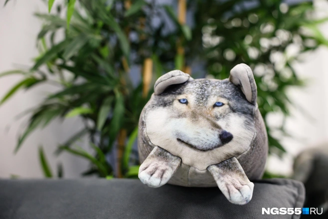 Глаза никогда не врут | Источник: Евгений Софийчук / NGS55.RU