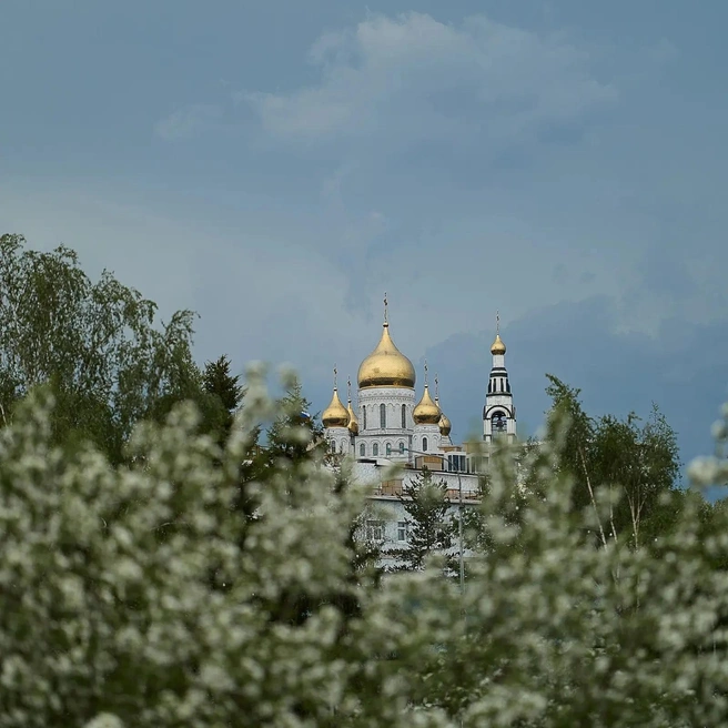Ханты-Мансийск утопает в зелени | Источник: Сергей Коршилов / «ВКонтакте»
