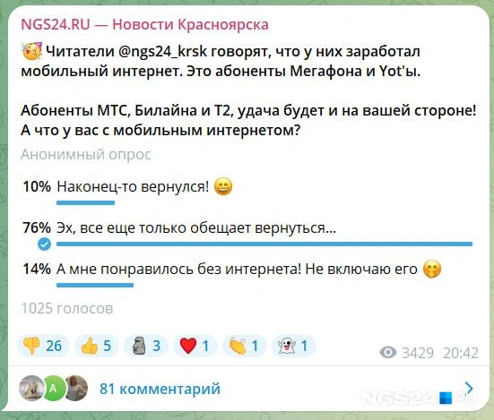 Результаты опроса на 21:10 29 июля | Источник: скриншот NGS24.RU / Telegram