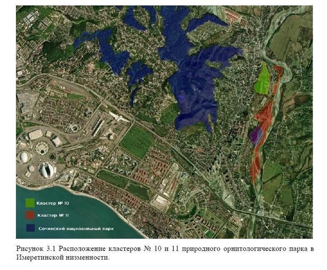 Вместо птиц — футбол | Источник: mpr.krasnodar.ru