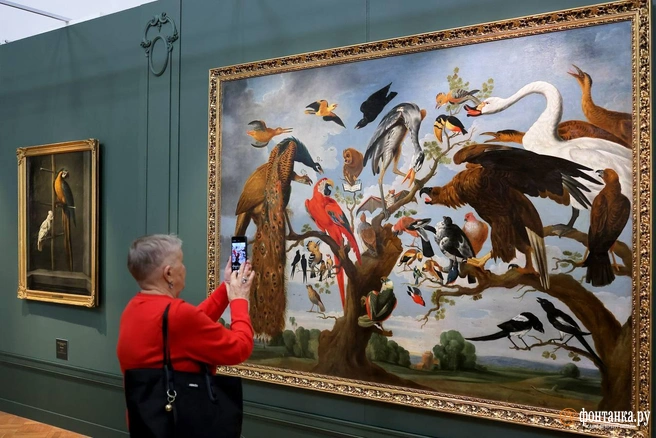 Источник: Дарья Драй / «Фонтанка.ру»