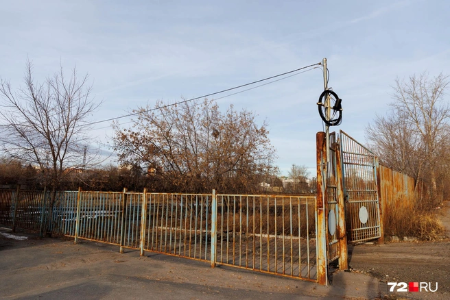 Максимально неприглядный забор | Источник: Ирина Шарова / 72.RU