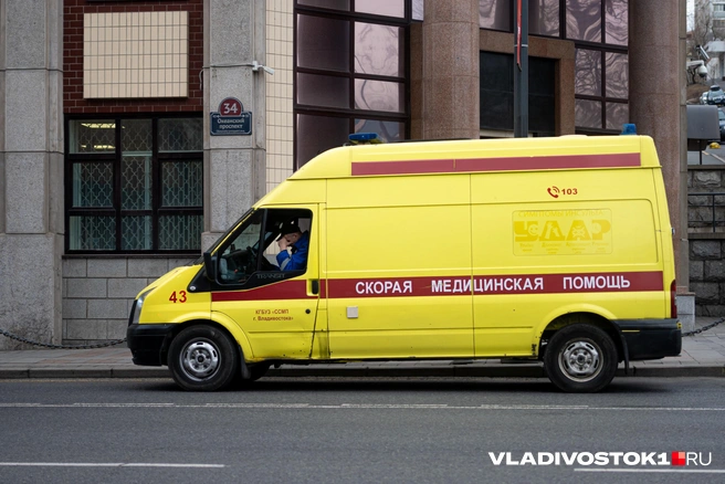 Дети ссорились задолго до инцидента | Источник: Елена Буйвол / VLADIVOSTOK1.RU