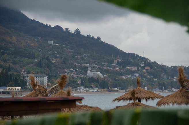 Стройка еще не вытеснила природу, как в Сочи | Источник: Оксана Витяpь / SOCHI1.RU