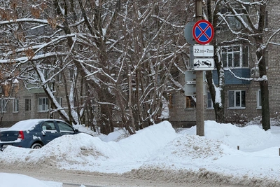 Deputies approve stricter fines for parking on lawns in Ryazan