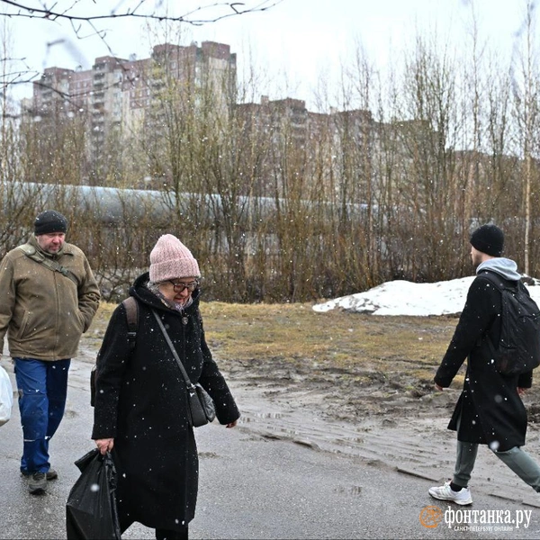 Источник: Андрей Бок / «Фонтанка.ру»