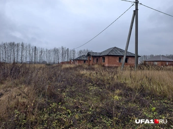 Источник: Булат Салихов / UFA1.RU