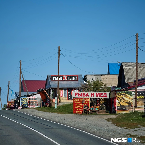 Может показаться, что Масляха&nbsp;— село рыбаков, но это не так. Рыбы здесь практически нет, потому что деревня находится аккурат между двумя рыбзаводами, расположенными в Ордынском и Камне-на-Оби. Там масляхинские продавцы и закупаются | Источник: Александр Ощепков / NGS.ru