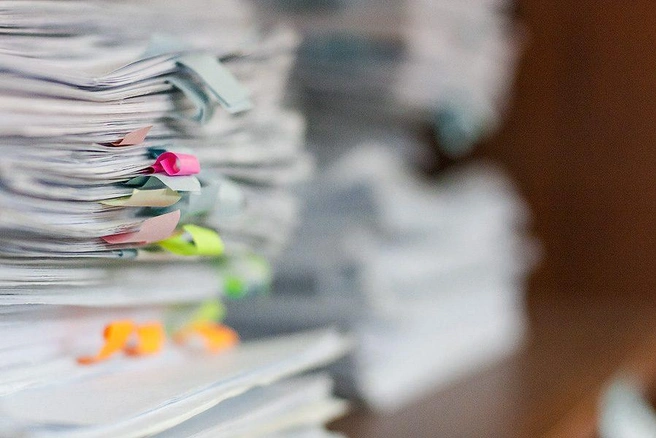 Источник: Ксения Зимина