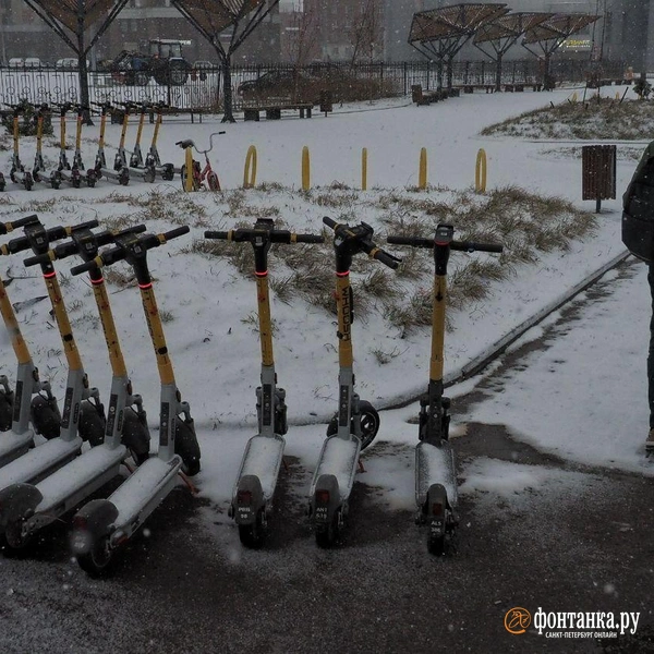 Источник: Михаил Огнев / «Фонтанка.ру»