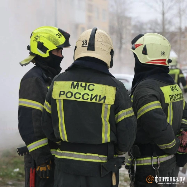 Источник: Валентин Егоршин / «Фонтанка.ру»