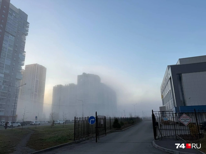 Больше всего фотографий с Университетской Набережной | Источник: читатель 74.RU