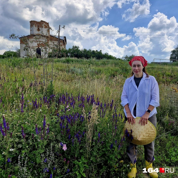 На лугу растут разнообразные травы | Источник: Виктория Федорова / 164.RU