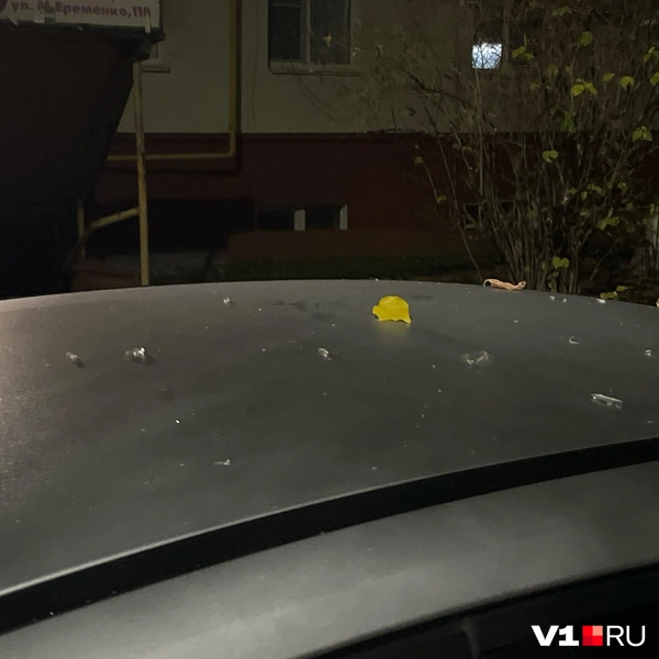 Источник: читатели V1.RU