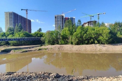 Иркутяне заметили грязь в Ушаковке: что говорят власти