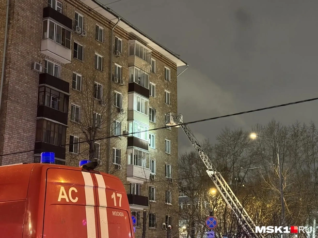 Источник: Анастасия Харитонова / MSK1.RU