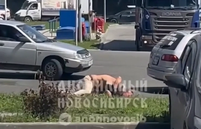 Мужчины начали драку прямо на газоне у проезжей части | Источник: «Анонимный Новосибирск» / Telegram
