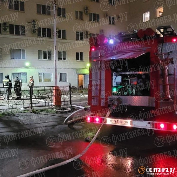 Источник: «Фонтанка.ру»