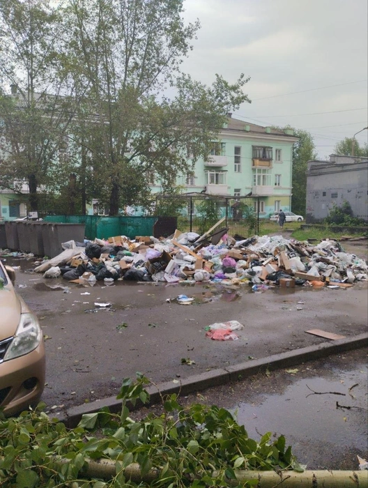 Рядом с мусором на Московской, 14 лежит и небольшой древесный ствол | Источник: читатель NGS24.RU